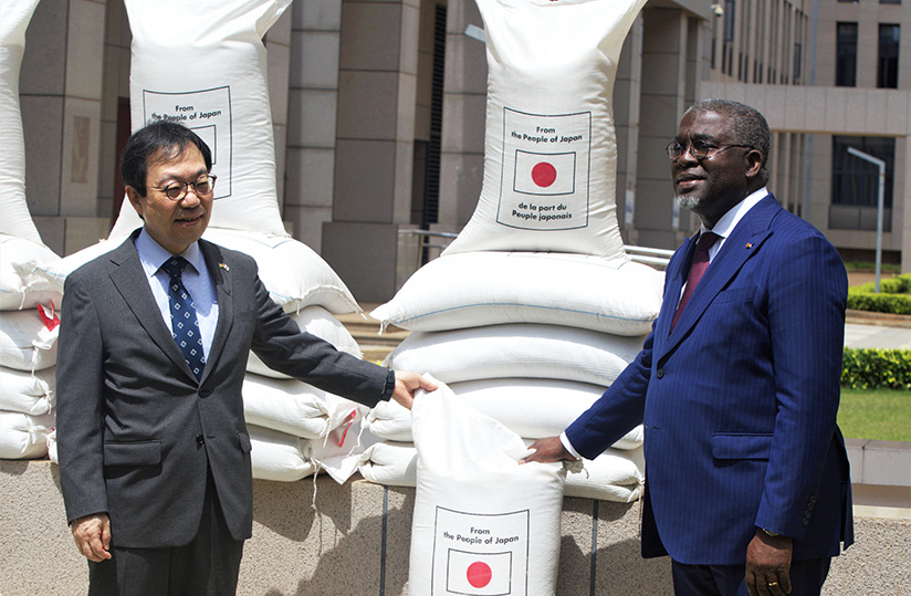 Pendant que des tonnes de riz Kovié pourrissent dans les magasins,  le gouvernement commercialise  du riz japonais