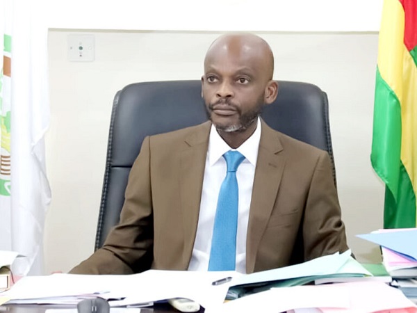 Diplomatie togolaise  Bilan flatteur de Dussey