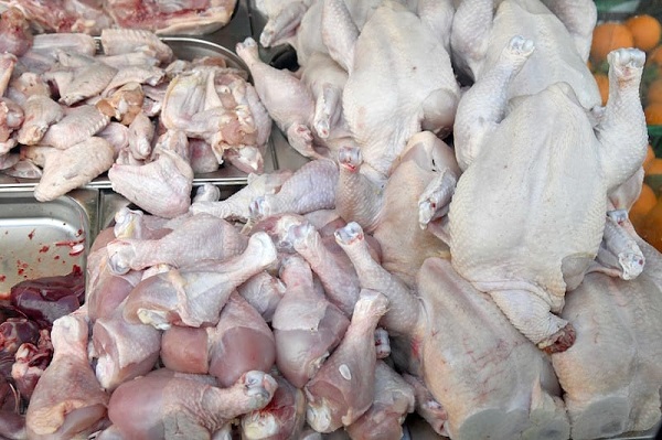 Poulets de chair : Le fort taux d'importation  tue la production locale